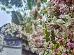 -深圳国际园林花卉博览园