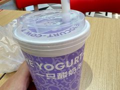 -一只酸奶牛(时代天街A馆店)