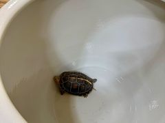 -九忠祥小笼馆(保利时光里店)