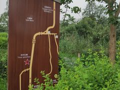 -白鹭湾湿地公园