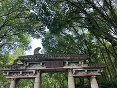-十九峰景区