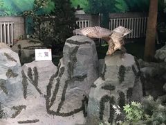 -吉林省自然博物馆