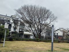 -紫峰大厦