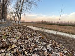 -东郊湿地公园