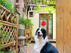 -桥岚·巷子鲜河豚鱼(专门店)