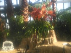 -悦隆庄温泉度假酒店