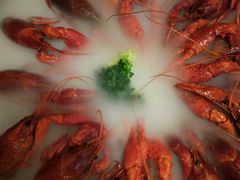 -红钳侠小龙虾·烧烤(中赢康康谷店)