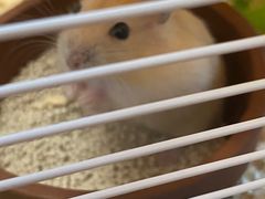 -龙猫仔乐园(惠福东路店)