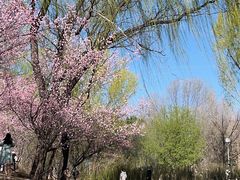 -北京奥林匹克公园