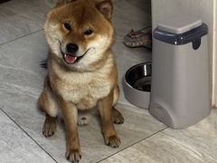-FAELING PETS美天灵宠物(富力广场店)