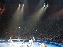 -珠海横琴长隆《卡卡虎奇遇记》