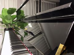 教室环境-Melody Mentor音乐私教馆(朝外·悠唐店)