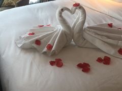 -北京索菲特大酒店