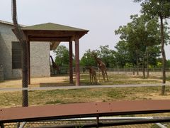 -石家庄市动物园