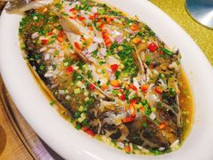 -顺明新疆风味餐厅(五一路店)