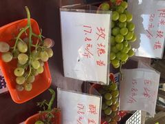 -马陆小张葡萄园农家乐