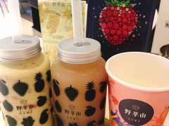 -野萃山·潮汕厚果汁(十亩地店)