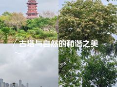 -厦门园林博览苑