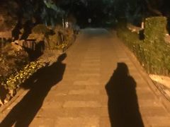 -海边的猫和咖啡馆