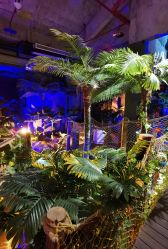 -恐龙探索乐园(磁器口店)