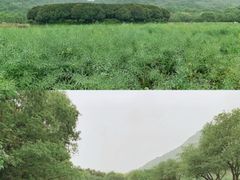 -八卦田遗址公园