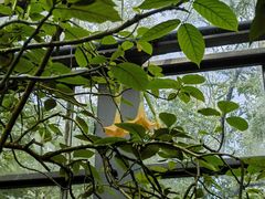 -南山植物园