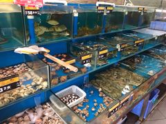 水产区-张家卫·阳江菜·小海鲜(肥婆湾桥店)