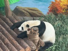 -青藏高原野生动物园