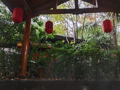 -西安国际创新人才交流中心•药浴温泉