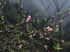 -白云源风景区