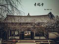 -西安青龙寺遗址景区