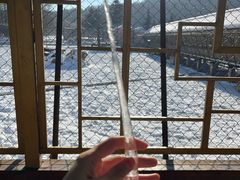 -横道河子东北虎林园