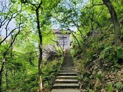 -惠山国家森林公园