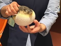 -肆月河豚·淮扬菜·湘菜(华天店)