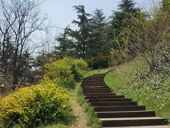 -浮山香苑