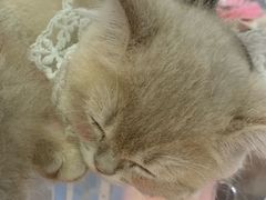 -宁波国际会展中心