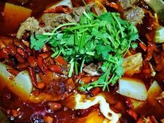 -受气牛肉·重庆耙牛肉(来福士店)