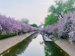 -海棠花溪(元大都城垣遗址公园)