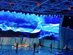 -海合安青岛极地海洋公园