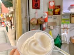 -洪馨椰子