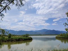 -野鸭湖国家湿地公园