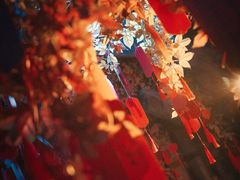 -屋有岛沉浸游戏旗舰店(中山公园店)