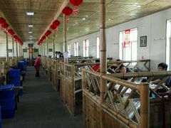 android_upload_pic-大鹅岛灶台鱼·铁锅炖(水库路店)