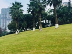 -龙头寺公园