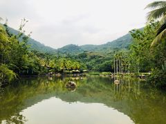 -呀诺达热带雨林