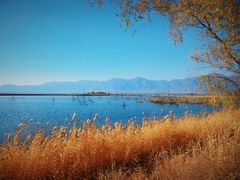 -野鸭湖国家湿地公园