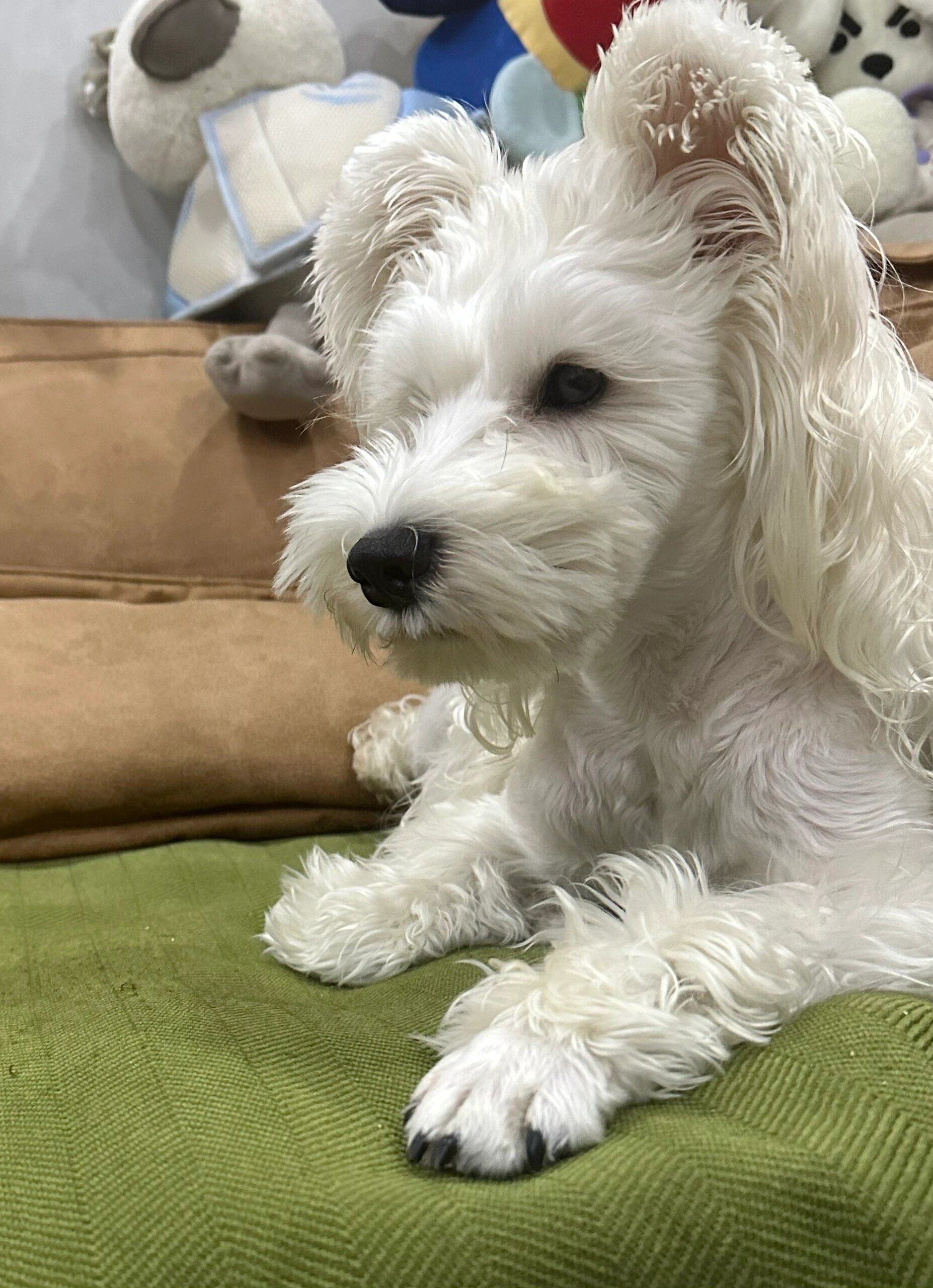 这不屑的眼神儿