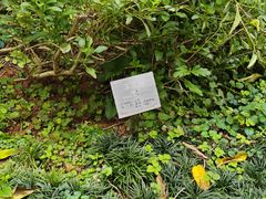 -广东中医药博物馆