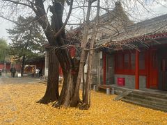 -承恩寺