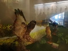 -下渚湖国家湿地公园科普馆